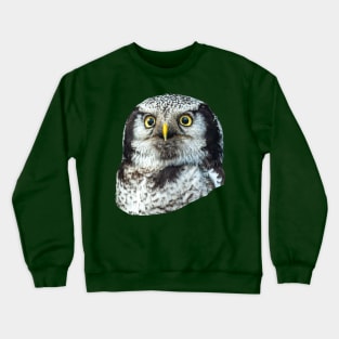 Eyes of a Northern Hawk Owl Crewneck Sweatshirt